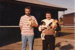 3dogs and 2 animals