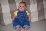 Little Butterball _Large_