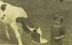 Little Annie & calf in Glengarry