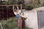 scan0013 _Large_
