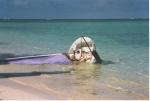 Dominican Republic vacation - I,m Wayner the sailor man