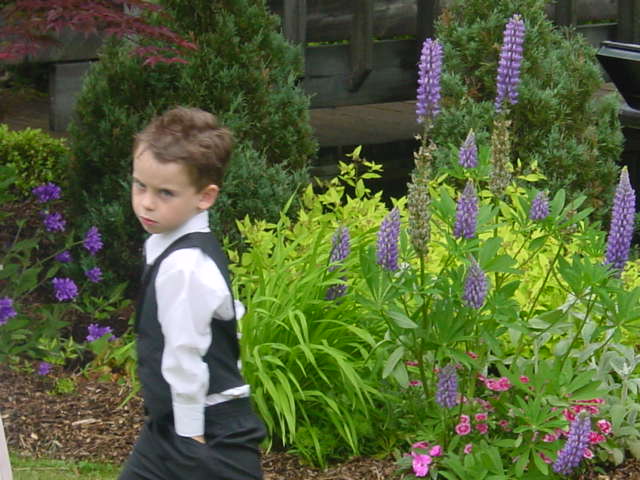 Ryan