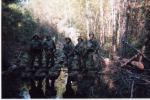 surviving in the bush