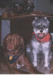 Kucho and Gus