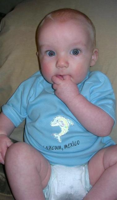 Shamus-15-weeks